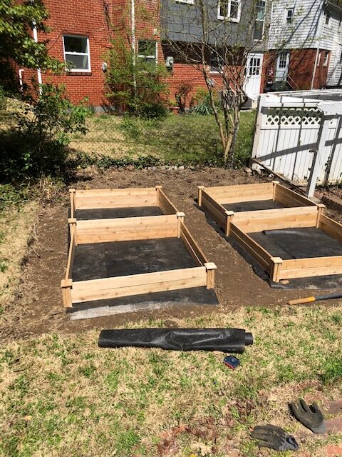 The start of raised beds.