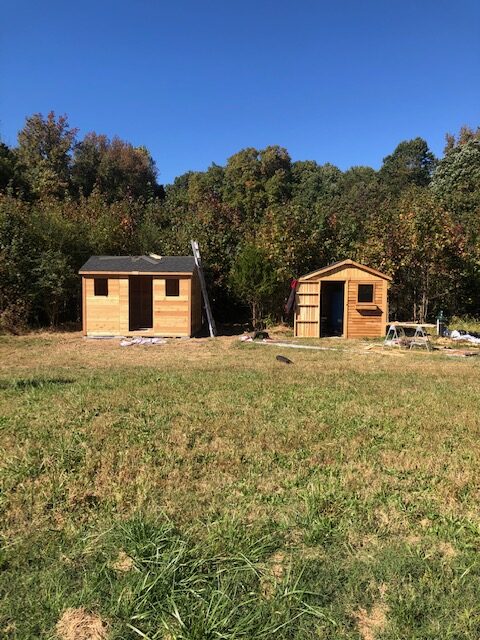 Our first farm sheds.