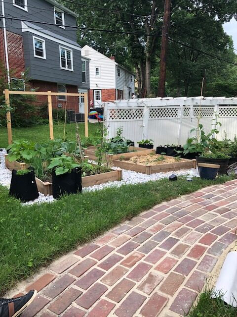 Our finished raised beds and cleaned pathway. 